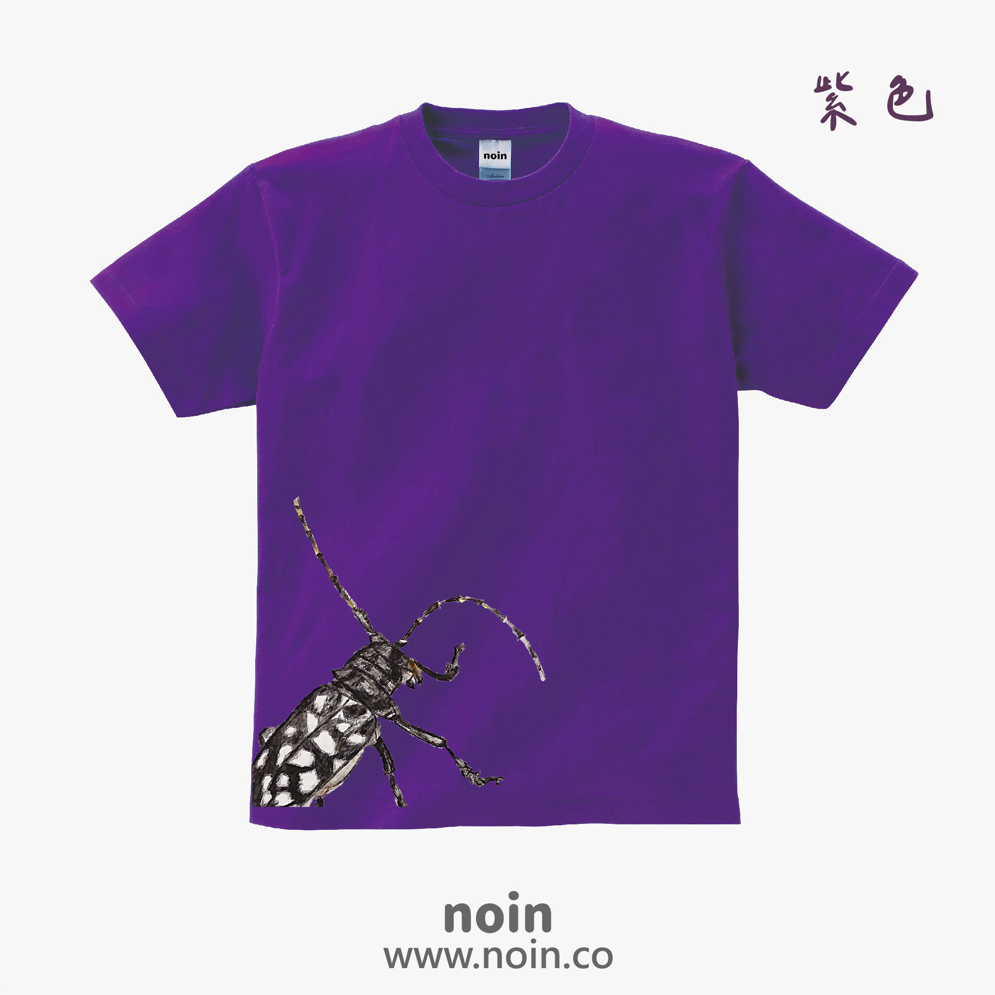 noin
